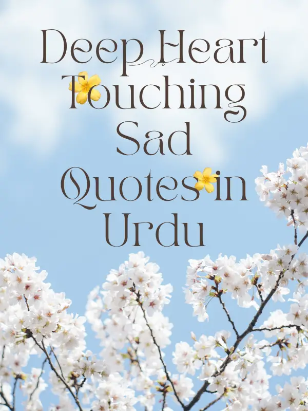 Deep Heart Touching Sad Quotes in Urdu