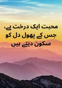 30 Love Quotes in Urdu