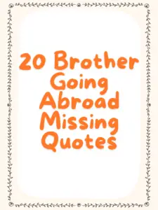 20 Brother Going Abroad Missing Quotes