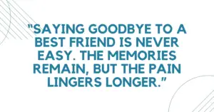 Quotes About Losing My Best Friend,Short quotes about losing my best friend,Missing my best friend who died quotes,Quotes about losing your best friend to death,Sad quotes about losing my best friend,Losing friends quotes short,Inspirational quotes about losing my best friend,Instagram quotes about losing my best friend,Missing my best friend who died quotes short,death of a friend quotes,losing a best friend quotes,losing a friend quotes,losing best friend quotes,losing friends quotes,losing good friends quotes,quotes about losing a friend