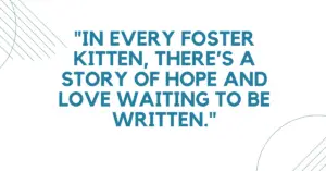 quotes about fostering,fostering quotes,the fosters quotes,quotes from the fosters,cheese fosters home for imaginary friends quotes,cheese quotes fosters,fostering animals quotes,fostering kittens quotes,fosters cheese quotes,fosters home for imaginary friends quotes