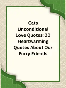 cats unconditional love quotes​,quotes about cats unconditional love​,cat unconditional love quotes​,quotes about dog and cat unconditional love​,quotes about pets unconditional love cats​,unconditional love cats quotes,unconditional love quotes for cats​