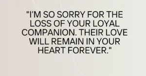 loss of pet condolences messages​,pet loss condolences messages​,condolence messages for pet loss,condolence messages for pets​,dog loss sympathy message​,loss of dog sympathy message​s,loss of pet sympathy messages​,condolence message for loss of dog​,condolence message for pet​,condolence message for pet loss​,Pet Loss Sympathy Messages