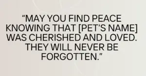 pet loss condolences messages​,condolence message for loss of pet​,condolence messages for loss of pet,condolence message for pet loss,loss of pet condolences messages​,condolence messages for pet loss​,condolences message for pet loss​,condolence message for loss of pet dog​,condolence message loss of pet​,condolence messages for loss of pet dog​