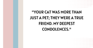 cat passed away message​,loss of a cat message​,sympathy quotes for loss of a cat​,cat passed away quotes​,cat passing away quotes​,loss of a cat quotes sympathy​,passed away loss of a cat quotes sympathy​,pet loss quotes cat​,sympathy quotes for cat loss​,cat sympathy quotes​,Words for the loss of a pet cat