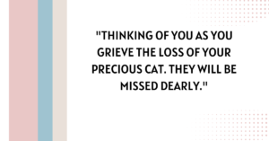 cat passed away message​,loss of a cat message​,sympathy quotes for loss of a cat​,cat passed away quotes​,cat passing away quotes​,loss of a cat quotes sympathy​,passed away loss of a cat quotes sympathy​,pet loss quotes cat​,sympathy quotes for cat loss​,cat sympathy quotes​,Words for the loss of a pet cat