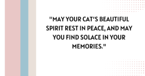 cat passed away message​,loss of a cat message​,sympathy quotes for loss of a cat​,cat passed away quotes​,cat passing away quotes​,loss of a cat quotes sympathy​,passed away loss of a cat quotes sympathy​,pet loss quotes cat​,sympathy quotes for cat loss​,cat sympathy quotes​,Words for the loss of a pet cat