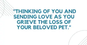 short message for the loss of a pet,message for loss of pet​,sympathy message for loss of dog​,sympathy messages loss of pet​,sympathy wishes for loss of dog​,words of sympathy for loss of a pet​,condolence message for loss of pet​,condolences message for loss of dog​,dog condolences messages​,loss of dog sympathy message​,pet death message​