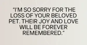 pet loss condolences messages​,condolence message for loss of pet​,condolence messages for loss of pet,condolence message for pet loss,loss of pet condolences messages​,condolence messages for pet loss​,condolences message for pet loss​,condolence message for loss of pet dog​,condolence message loss of pet​,condolence messages for loss of pet dog​