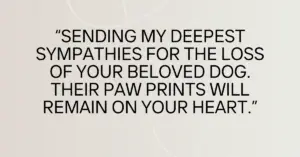 pet loss condolences messages​,condolence message for loss of pet​,condolence messages for loss of pet,condolence message for pet loss,loss of pet condolences messages​,condolence messages for pet loss​,condolences message for pet loss​,condolence message for loss of pet dog​,condolence message loss of pet​,condolence messages for loss of pet dog​