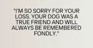 Condolence Message for the Loss of a Dog,sympathy message for loss of dog​,sympathy messages loss of pet,condolence message for dog​,condolence message for loss of pet​,condolence messages for loss of dog​,condolences for pets​,dog condolences messages,pet loss sympathy message​,short message for loss of pet​,sympathy message for loss of pet​