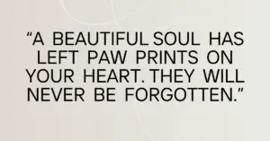 pet loss condolences messages​,condolence message for loss of pet​,condolence messages for loss of pet,condolence message for pet loss,loss of pet condolences messages​,condolence messages for pet loss​,condolences message for pet loss​,condolence message for loss of pet dog​,condolence message loss of pet​,condolence messages for loss of pet dog​