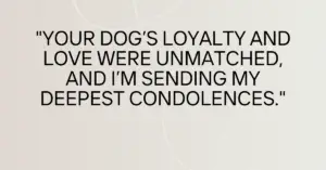 Condolence Message for the Loss of a Dog,sympathy message for loss of dog​,sympathy messages loss of pet,condolence message for dog​,condolence message for loss of pet​,condolence messages for loss of dog​,condolences for pets​,dog condolences messages,pet loss sympathy message​,short message for loss of pet​,sympathy message for loss of pet​