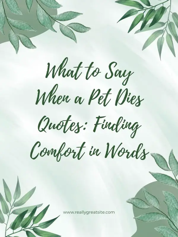 death of a dog quotes,when pet dies at home,dog loss quotes,#dog loss quotes,coping for dog loss quotes,#coping for dog loss quotes,dealing with dog loss quotes,when animals dies,dog condolences quotes,quotes,loss dog quotes,owners say goobye to cat,wanderlust quotes,dog death quotes rainbow bridge,dog die quotes,dog passing away quote,how to tell a cat is dying,cat dies,inspirational quotes,dog rest in peace quotes,sympathy loss of dog quotes,what to say when a pet dies quotes