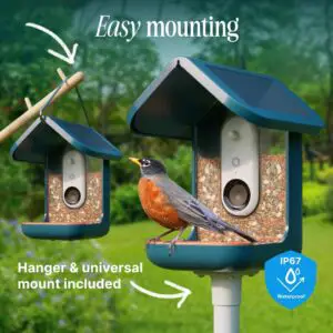 Bird Buddy Original Solar Bird Feeder, bird feeder with camera, AI bird species identification, solar bird feeder camera, smart bird feeder, 2K HD bird feeder, eco-friendly bird feeder, birdwatching app, weatherproof bird feeder, real-time alerts, 5MP bird photos, AI-powered bird feeder, UV-resistant bird feeder, bird feeder live streaming, privacy-focused bird feeder