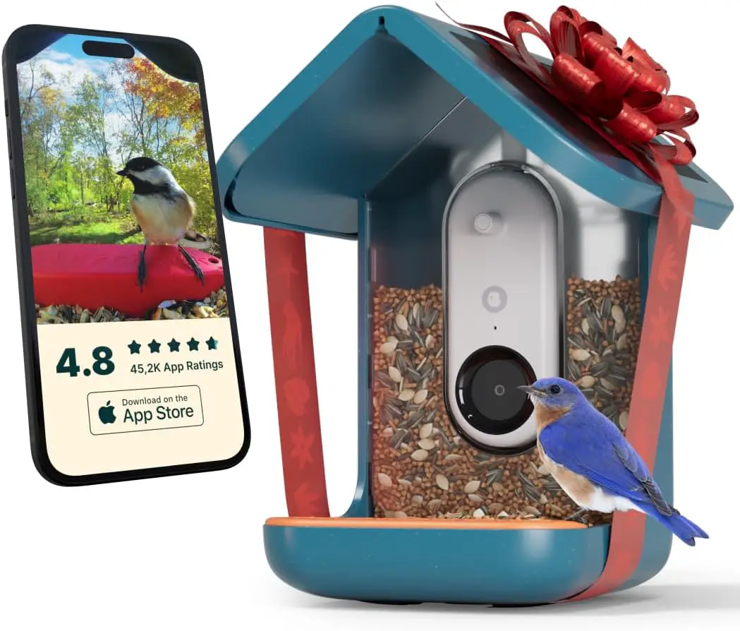 Bird Buddy Original Solar Bird Feeder, bird feeder with camera, AI bird species identification, solar bird feeder camera, smart bird feeder, 2K HD bird feeder, eco-friendly bird feeder, birdwatching app, weatherproof bird feeder, real-time alerts, 5MP bird photos, AI-powered bird feeder, UV-resistant bird feeder, bird feeder live streaming, privacy-focused bird feeder