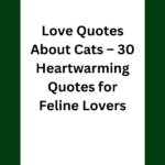 quotes about cats love, love quotes about cats, cat quotes about love, inspirational quotes about cats love, quotes about cats and love, quotes about cats unconditional love, quotes about love for cats, short quotes about cats love, quotes about pets unconditional love cats, cat in the hat quotes about love