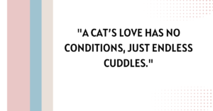 quotes about cats love, love quotes about cats, cat quotes about love, inspirational quotes about cats love, quotes about cats and love, quotes about cats unconditional love, quotes about love for cats, short quotes about cats love, quotes about pets unconditional love cats, cat in the hat quotes about love

