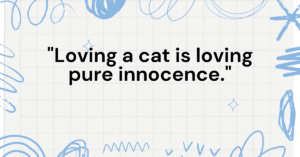 quotes about cats love, love quotes about cats, cat quotes about love, inspirational quotes about cats love, quotes about cats and love, quotes about cats unconditional love, quotes about love for cats, short quotes about cats love, quotes about pets unconditional love cats, cat in the hat quotes about love

